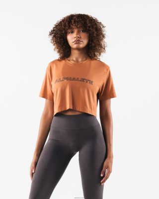 Clothing Alphalete Women Core Airtech SS Crop Alloy Orange 686D00204 Alphalete Shorts Sale