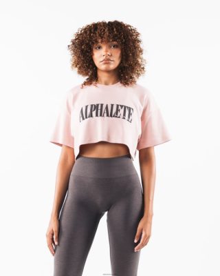 Clothing Alphalete Women Republic Crop Tee Flat Rose Pink 686D00198 Alphalete Shorts Sale
