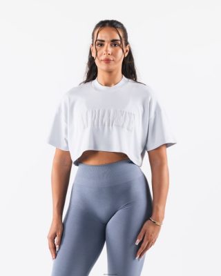 Clothing Alphalete Women Republic Crop Tee Halogen Blue 686D00194 Alphalete Leggings Australia